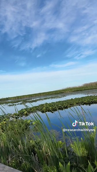 How to Write the Discussion Chapter of Your Dissertation