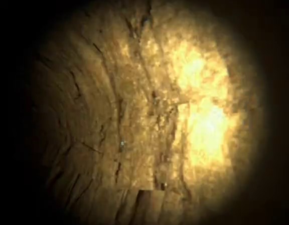 Scary VR Moments: Gaming Turned Hilarious