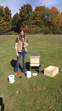 Feeding Bees with Feeder Pail
