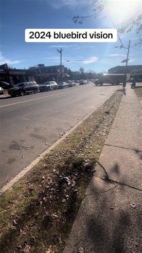 2024 Bluebird Vision: The Future of School Buses