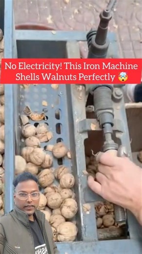 Watch Walnuts Get Cracked Cleanly by This Machine 😮
