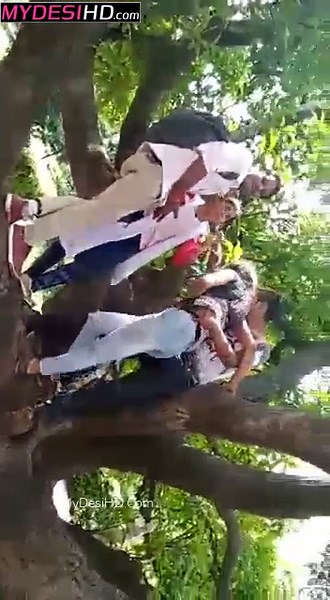 Indian Desi Lover Sex: Young College Couple Caught in Viral Outdoor MMS