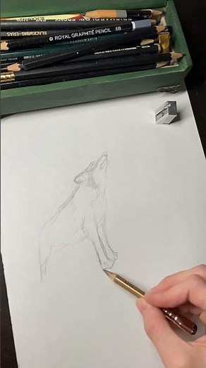 Trying to remember what wolves look like…