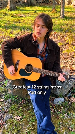 13K views · 404 reactions | The greatest 12 string intro ever #singer #fyp #acousticguitar #acousticcovers #70smusic #pinkfloyd | Max struthers music fan | Facebook