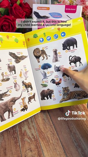 Bilingual Playtime: The Fun of Spanish-English Talking Books