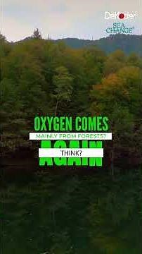 The Ocean DeKoded: 5 Incredible Facts About Earth’s Hidden World | Environment Matters | DeKoder