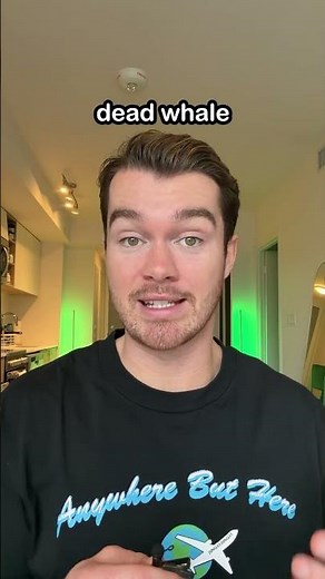 The Exploding Whale of Oregon