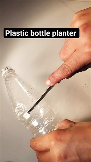 plastic bottle planter #diy #gardening #garden #shorts #ytshorts