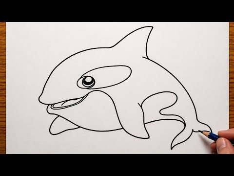 How to Draw a Cute Orca | Step by Step Easy Drawing Tutorial