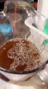 Cozy Fall Recipe: Delicious Dishes with Swanson Broth #LadyStefMa #FYP #Swanson #Broth