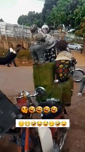 1.4M views · 10K reactions | Bm pro | Bm pro | Facebook