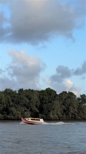 Sunset River tours now available with Visit Guyana Tours! Whatsapp 592-654-5339 to book now! | Visit Guyana