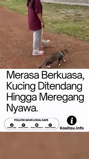 Masih ingat kasus penendang Kucing di Blora? Ini updatenyaTerdakwa kasus penendang kucing di Blora, Pujianto hanya dituntut denda Rp 5 Juta. Hal itu terkuak dalam sidang yang digelar pada Rabu, 13 Mei 2026. Jaksa Penuntut Umum Jemmy R Manurung dalam sidang tersebut menyampaikan beberapa hal tuntutan.