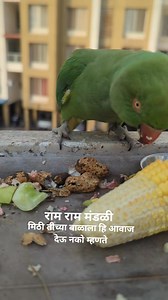 22K views · 699 reactions | Neeta Kumbhar on Reels | Facebook