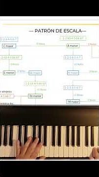 Aprende Nuevas Escalas fácilmente entendiendo la estructura de la Escala Mayor #escalamayor #piano