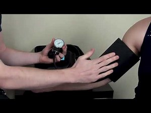 Realityworks Blood Pressure Simulator