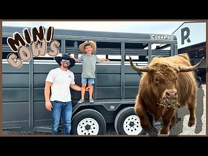 Little Cowboy Brings Home Mini Cow! PANDAROSA RANCH/MINIATURE ANIMALS/LIVESTOCK AUCTION/FARM KIDS