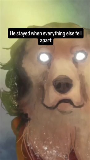 Coyote on Instagram: "The dog of the frozen northern lights... He guarded them from the starving wolves and bears of the north, protecting their home fiercely up until the end. Now he watches over them. These memorial portraits are for anybody who lost an animal that they loved. I think of it as finding who they were and creating a moment that you can display digitally as a background somewhere. I think it can really help with grief to be watched over by them as you go about your day to day life