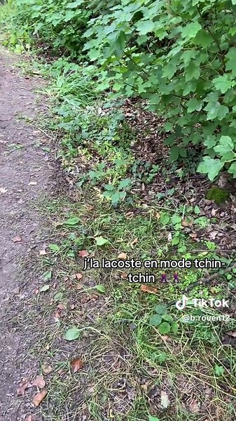 Chute Amusante : Moment de Rire 😆