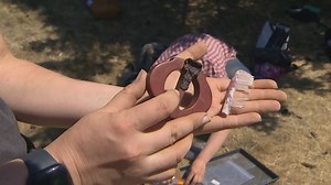 Archeological dig revealing Japanese American history in north Seattle