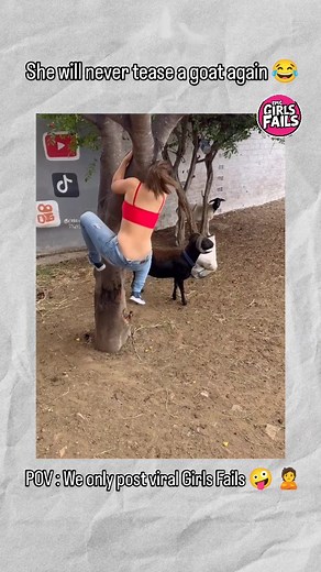 She is hanging for life there 😂🐐 . . #GoatFail #EpicFail #FunnyReels #AnimalFails #GirlFails #ReelComedy #UnexpectedFails #ViralVideo #ExplorePage #IndianReels | Epic Girls Fails