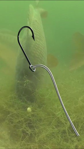 Easy way to tie fishing hook perfectly#fishinghook #hooktying #fishingknot #fishingtips