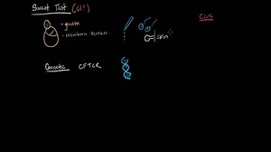 Cystic fibrosis diagnosis