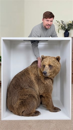 MrBeast on Instagram: "They let me that close to a BEAR?"