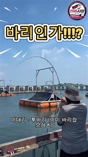 오오오오 바라인가!!!?!?!😆😱 #낚시터 #fishing #낚시 #천혜사랑낚시터 #유료낚시터