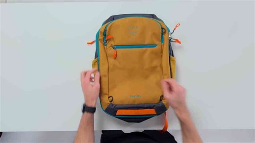 The $100 travel backpack that fits under any seat