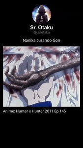 Anime: Hunter x Hunter #animeedit #animes #animescenes #anime #hunterxhunter #viral | Sr. Otaku