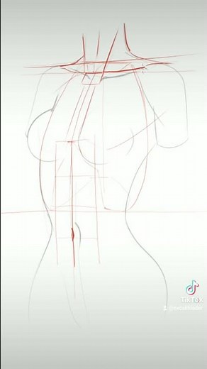 How to Draw the Torso - 1 #shorts #drawing #art