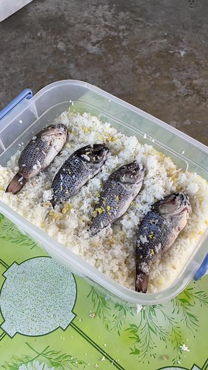 Paano Gumawa ng Burong Pangasinan: Isang Gabay sa Pagluluto