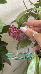 1.8M views · 4.8K reactions | DON’T DO AS I DO  | follow for plant...