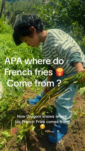 bhutan_dentist on TikTok