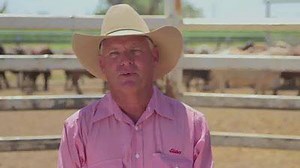 44K views · 424 reactions | Rob’s wife thinks he goes a bit far for his clients – what do you think? | Elders Limited | Facebook