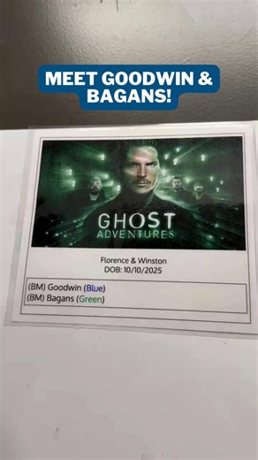 Meet Goodwin & Bagans from the Ghost Adventures litter! 👻🐕‍🦺 These pups are proving they have no fears and are mastering their supernatural skills in the puppy enrichment program! During this time, they are introduced to a wide range of experiences, including sounds, scents, objects, sights, and more. All the while, our team provides top-tier veterinary care, ensuring these pups grow up to be happy & healthy. The program’s goal is to create confident eight-week-old puppies with a solid founda