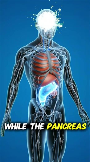 The Anatomy of a Donut: 3D Visualization of Sugar Spikes, Dopamine, and Cellular Crash #shorts