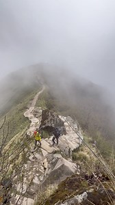 51K views · 1.3K reactions | Heading towards mardi Himal high camp (3550m) #mardi #mardihimal #marditrek #mardihimaltrek #himalayangatewaytrek | Himalayan Gateway Trek | Facebook