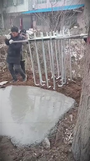 Trending Reels Featuring BalliBotMogis