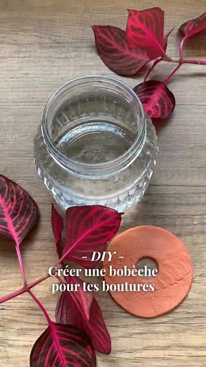 DIY - Créer une bobèche pour tes boutures 🌱✨ Tu en as marre que tes boutures de plantes ne tiennent pas en place ? Ça tombe à côté du verre, ça tombe dedans… La bobèche, c’est l’accessoire qu’il te faut 👌 Matériel : 🧡 Argile autodurcissante 🌿 Des feuilles ou fleurs séchées pour l’imprimé végétal 💦 Un verre et un tube à essai comme emporte-pièces de fortune (sinon à main levée) C’est super simple a faire, tout mignon et super pratique ! 👉 Qui va essayer ? #bobeche #diy #boutures #bouturage 