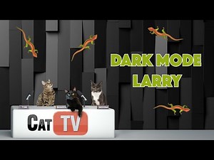 Cat TV | 🦎 Dark Mode Larry: Late-Night Lizard Hunt for Cats | Larry the Lizard