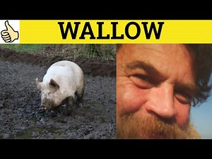 🔵 Wallow - Wallow Meaning - Wallow Examples - Wallow - Defintion - GRE 3500 Vocabulary