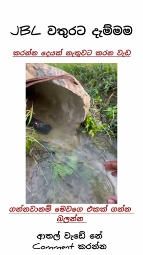 li.#srilankapranks #foryou #funny #sinhalacomedy #funnyvideo #memes