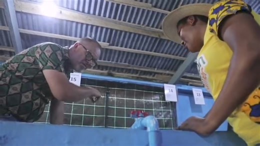 Here’s what a Holland businessman into fish farming in Ghana has to say. | The Ghanaian Farmer