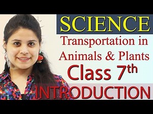 Introduction - Chapter 7 - Transportation in Animals and Plants - Science Class 7th NCERT