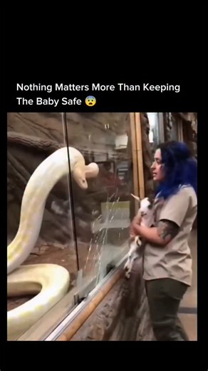 Dark Vids on Instagram: "This post shows a jaw-dropping 13-second clip from X where a massive two-headed yellow python slams into its enclosure so violently that the glass appears to crack, sending water splashing outward and triggering instant panic as staff scream and rush to evacuate—while a woman holding a baby goat becomes the accidental “main target” of the chaos. It taps into the explosive trend of AI-generated wildlife disasters, where hyper-realistic motion, exaggerated physics, and dra