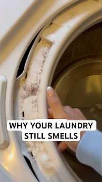 Why Your Laundry Still Smells