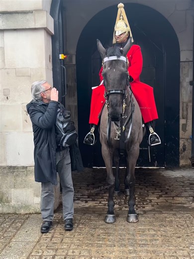 The King's Horse Bows at Horse Guards Parade