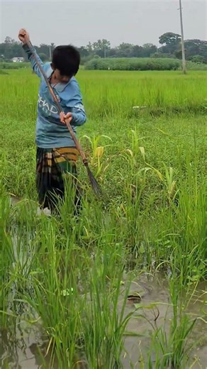 Amazing Teta Fishing Skills #fishing #shorts #fish